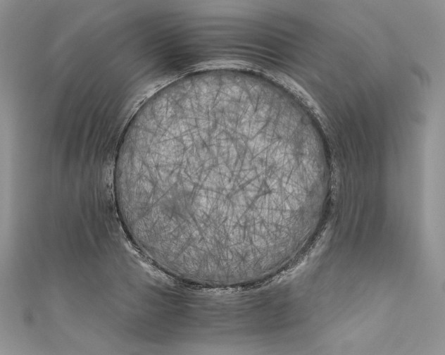 X0000111010937200907060952