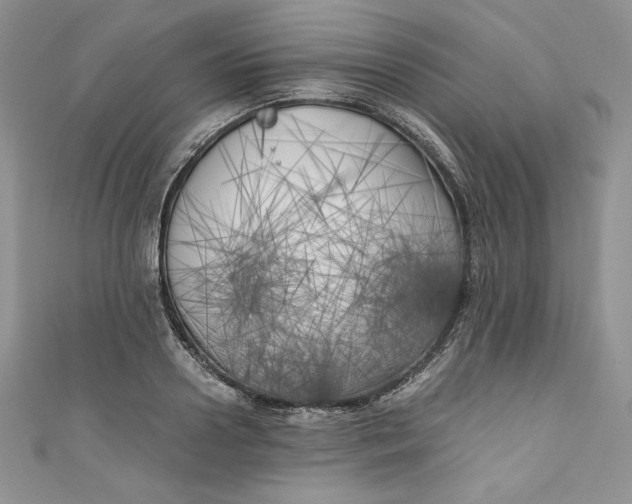X0000111010938200907060952