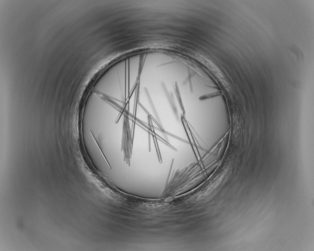 X0000111010939200907060952