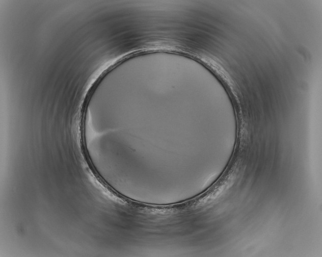 X0000111010941200907060952