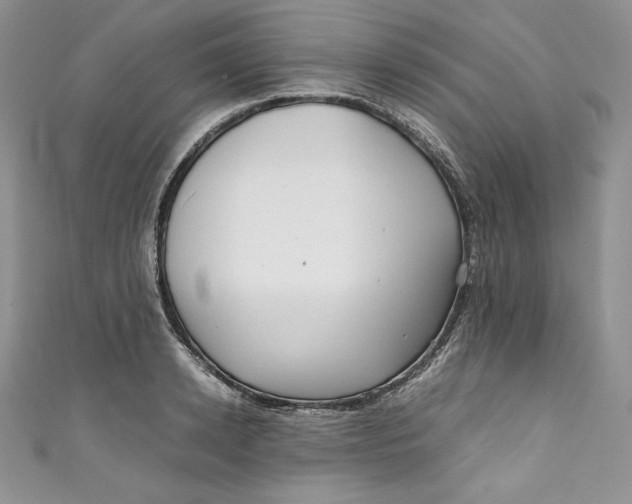 X0000111010942200907060952
