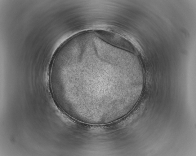 X0000111010944200907060952