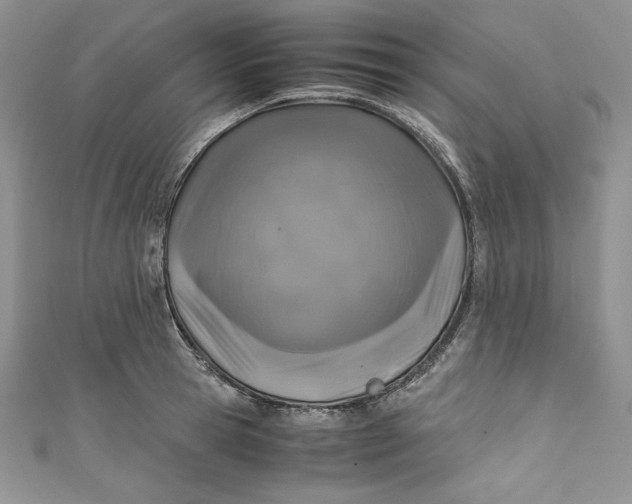 X0000111010945200907060952