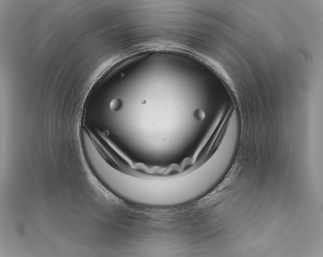 X0000111010946200907060952