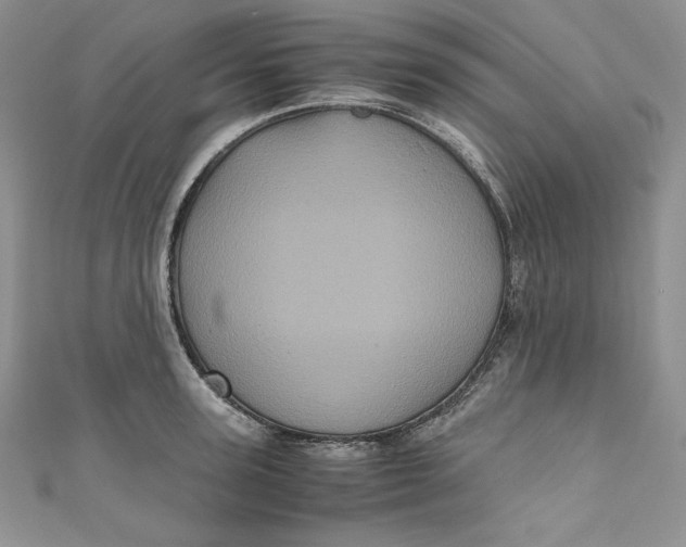 X0000111010947200907060952