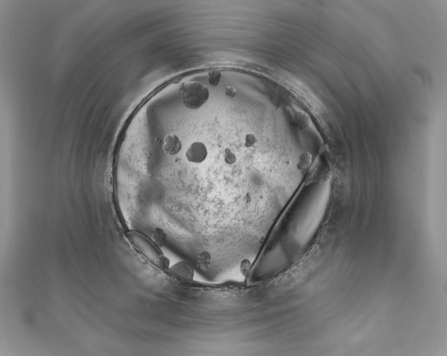 X0000111010948200907060952