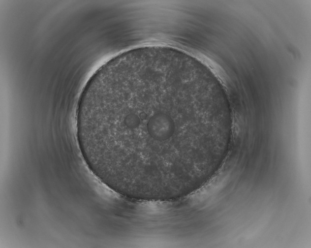 X0000111010950200907060952
