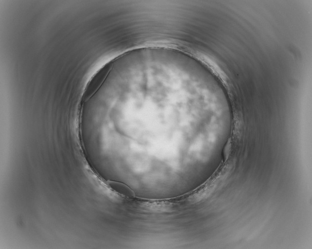 X0000111010952200907060952