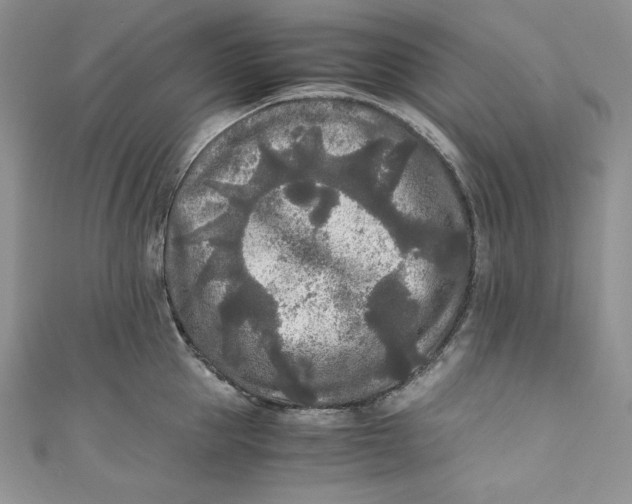 X0000111010953200907060952