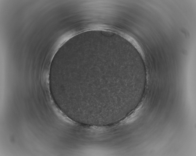 X0000111010954200907060952