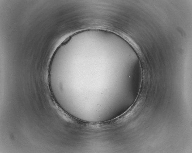 X0000111010956200907060952