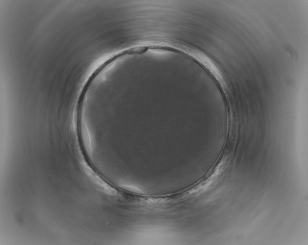 X0000111010958200907060952