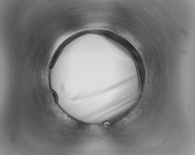 X0000111010960200907060952