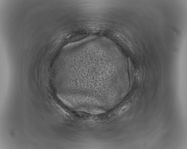 X0000111010961200907060952
