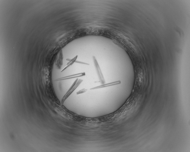 X0000111010964200907060952
