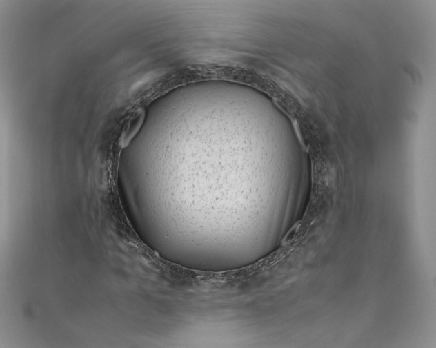 X0000111010965200907060952