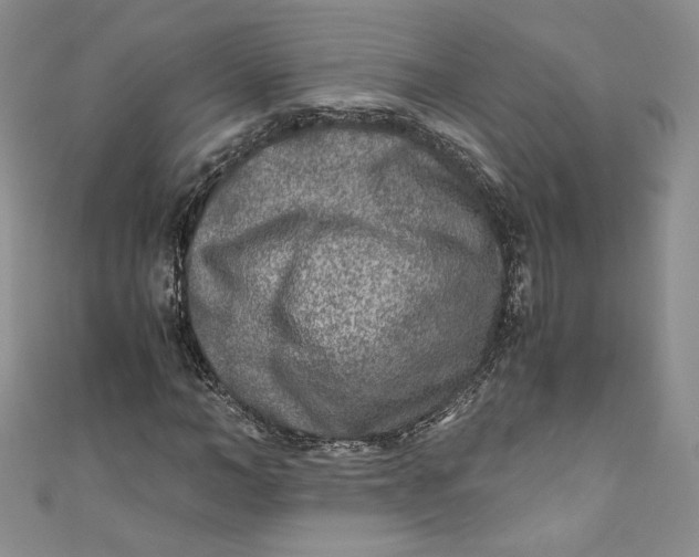 X0000111010966200907060952