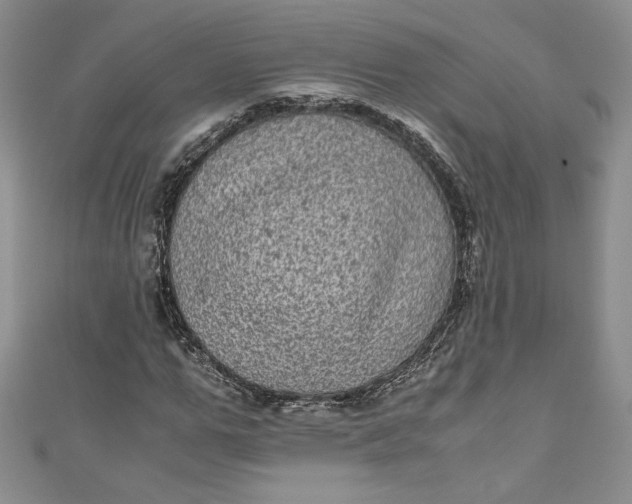 X0000111010967200907060952