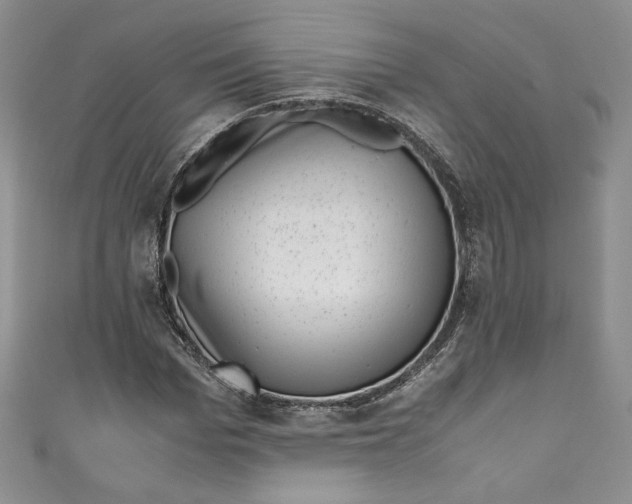 X0000111010969200907060952