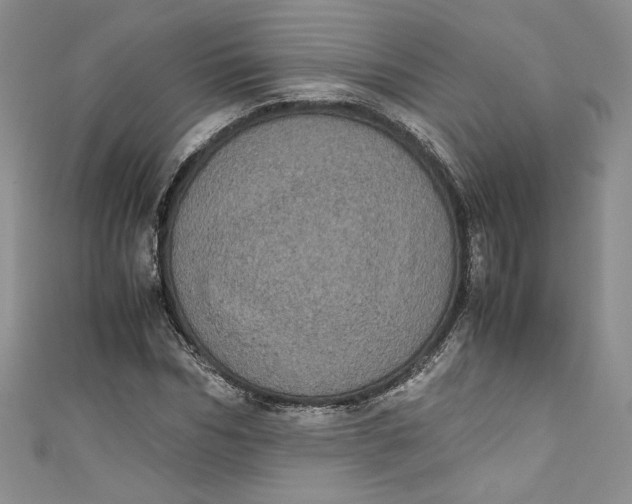 X0000111010970200907060952