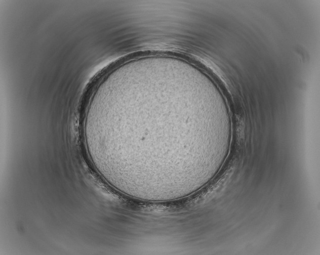 X0000111010971200907060952