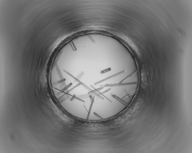 X0000111010972200907060952