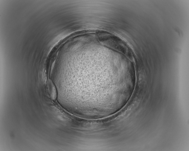 X0000111010973200907060952