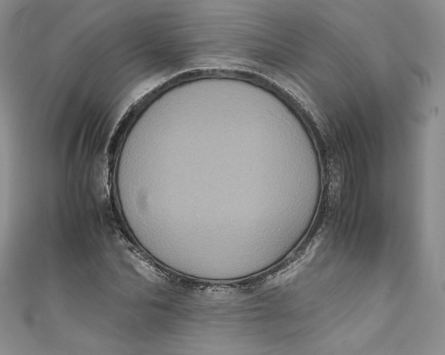 X0000111010974200907060952