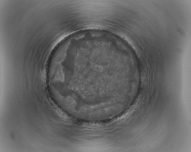 X0000111010975200907060952