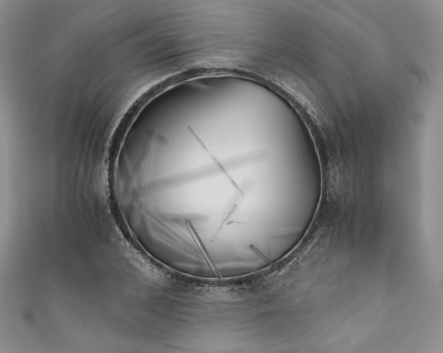 X0000111010976200907060952