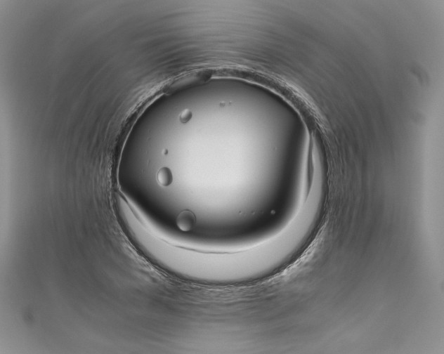 X0000111010977200907060952