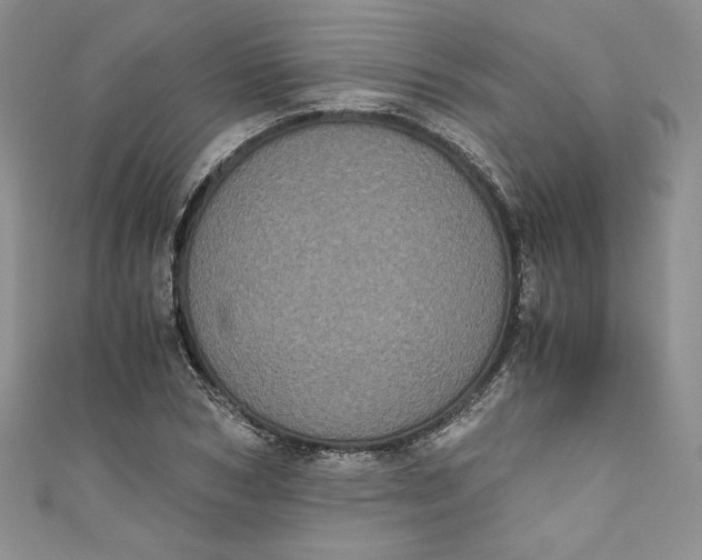 X0000111010978200907060952