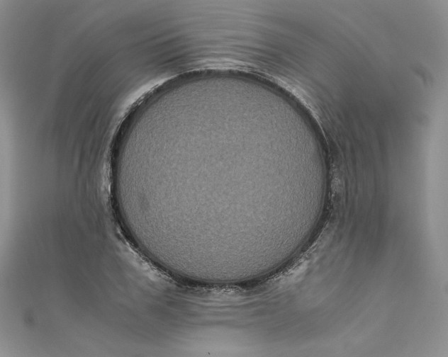 X0000111010979200907060952