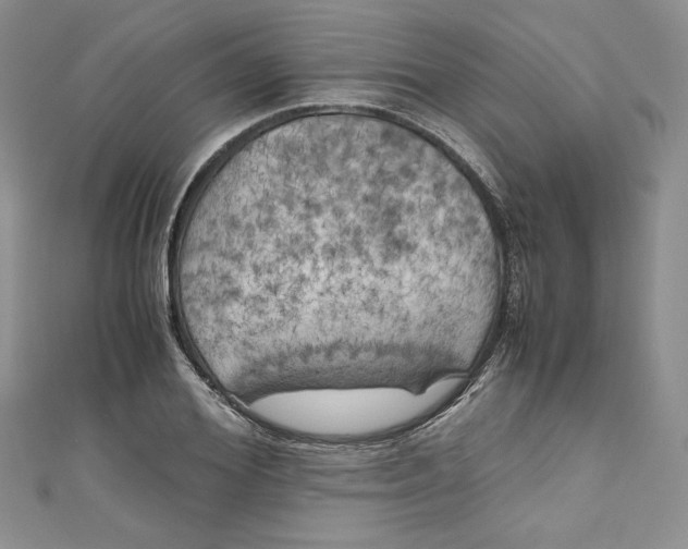 X0000111010980200907060952