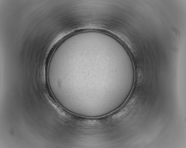 X0000111010982200907060952