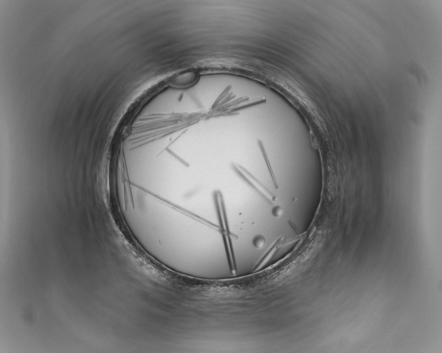 X0000111010984200907060952