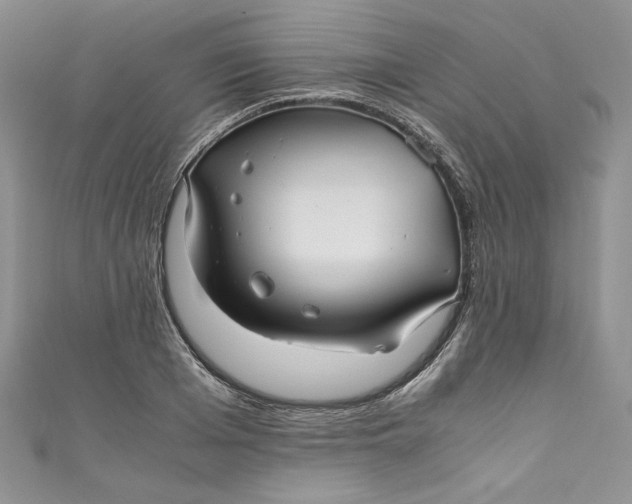 X0000111010985200907060952