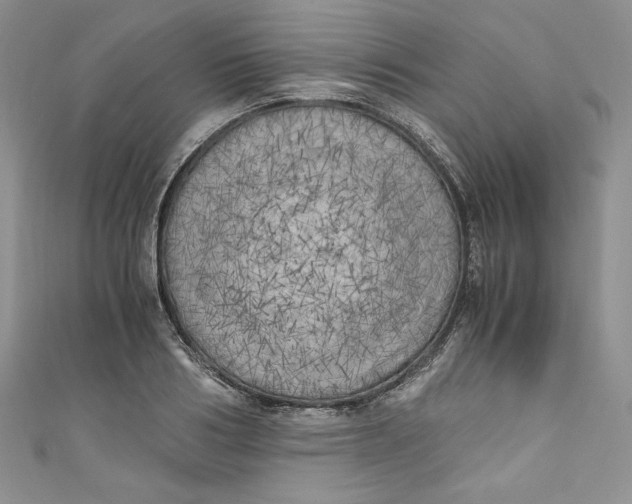 X0000111010986200907060952