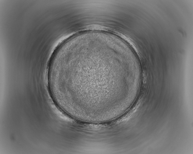 X0000111010987200907060952