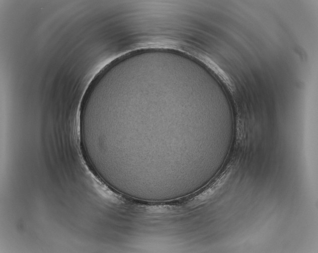 X0000111010988200907060952
