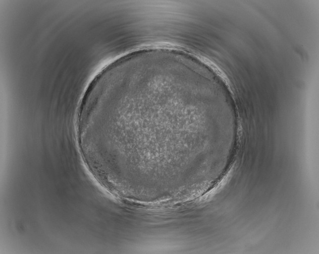 X0000111010989200907060952