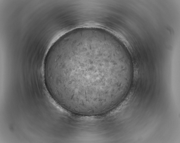 X0000111010990200907060952