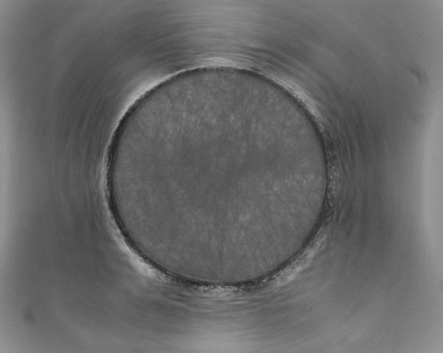X0000111010991200907060951