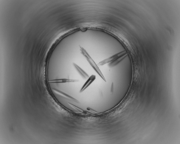 X0000111010992200907060951