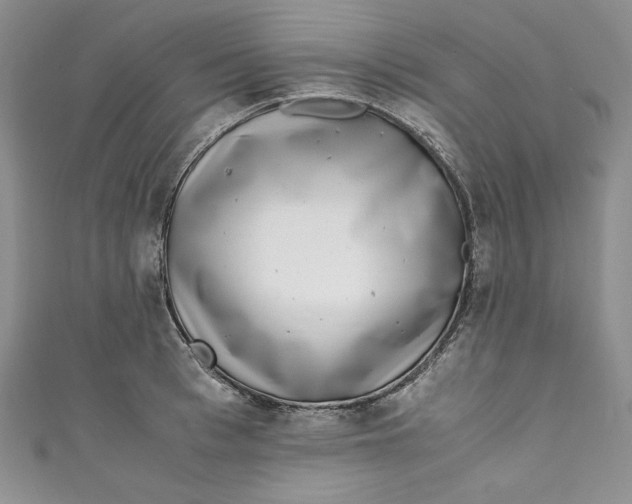 X0000111010993200907060951
