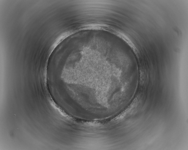 X0000111010994200907060951