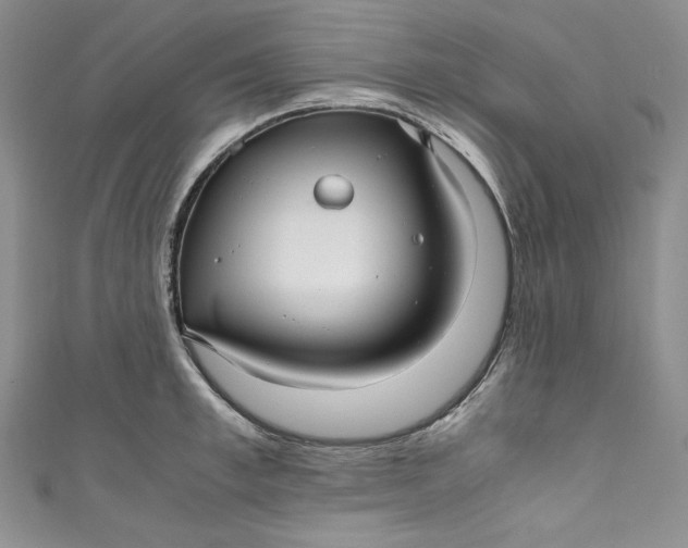 X0000111010997200907060951