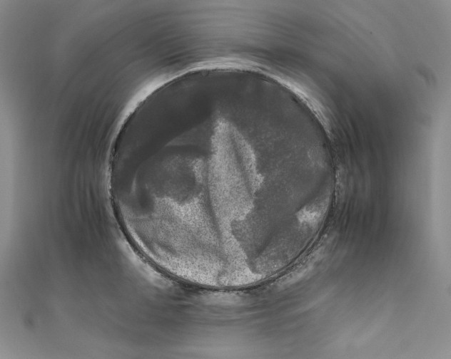 X0000111010998200907060951