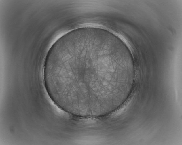 X0000111010999200907060951