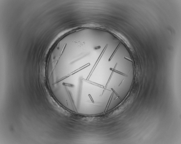 X0000111011000200907060951